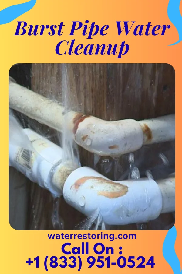 Burst Pipe Water Cleanup in Avon, IL