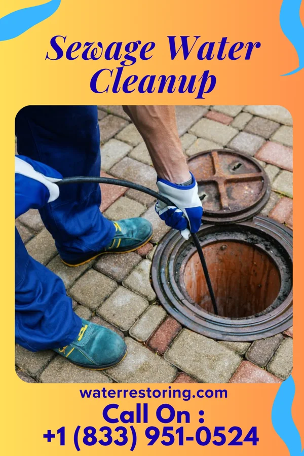 Sewage Water Cleanup in Avon, IL